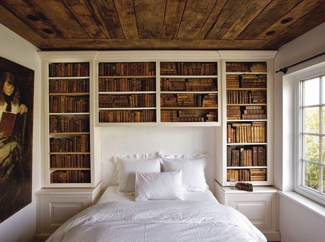 Vaulted Bedroom + Storage